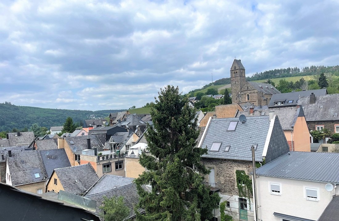 Blick zum Berg (wohnen über den Dächern von Traben-Tr.)